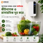 Smart Ozone Food Purifier